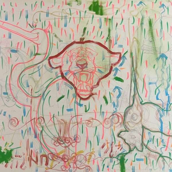 Animals Medley In the Rain- Part 1