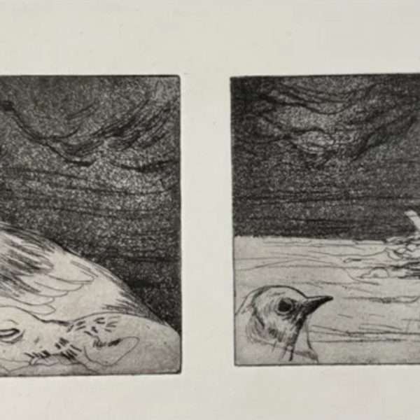 'Naufragu' / 'Shipwrecked'