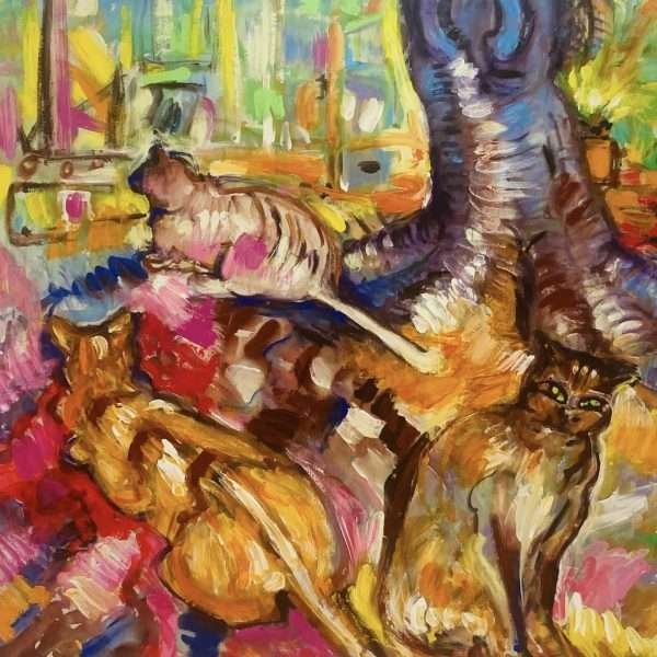 Cats 3