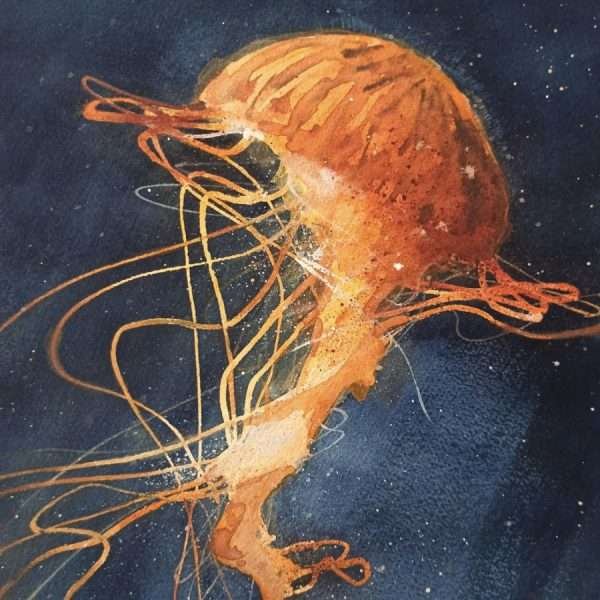 Jellyfish 2