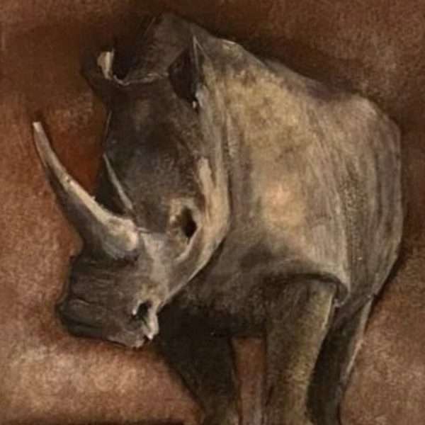Rhino, 2021
