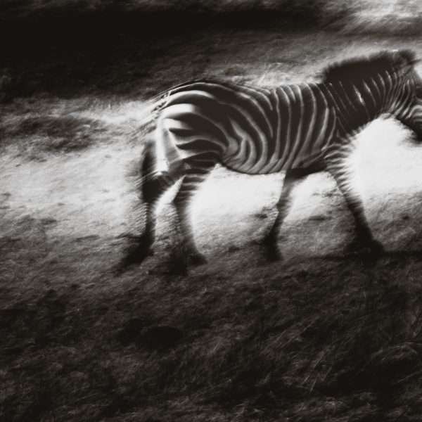 Walking away