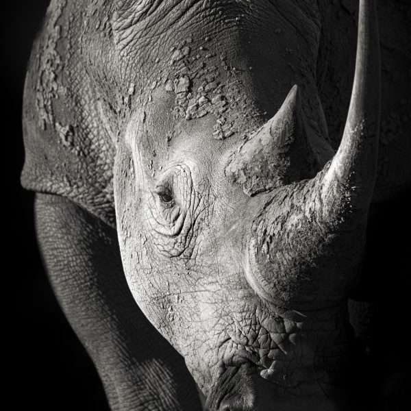 Silent strength