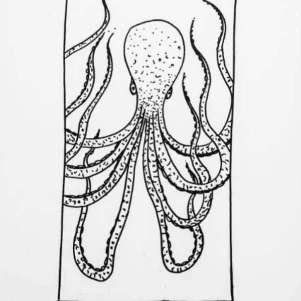 Qarnita (Octopus), 2017