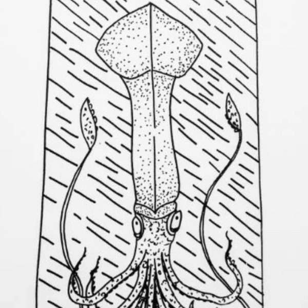 Klamar (calamari), 2017