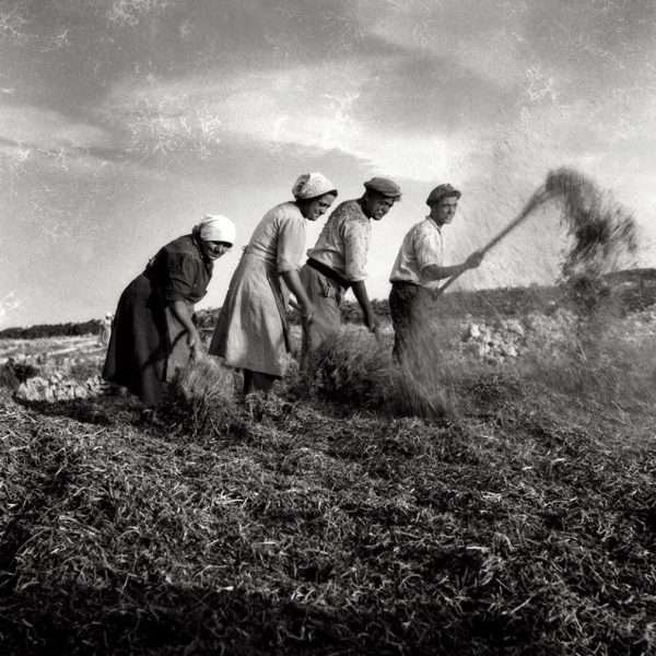 Farmers