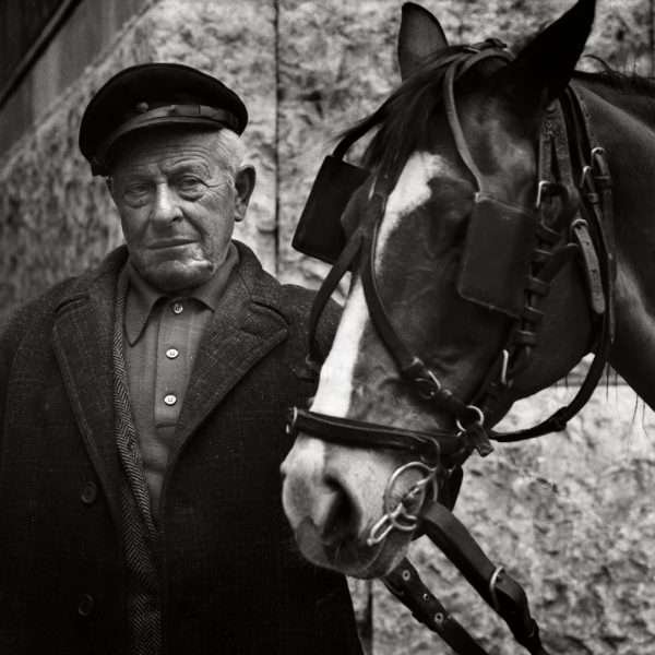 Horse- Man