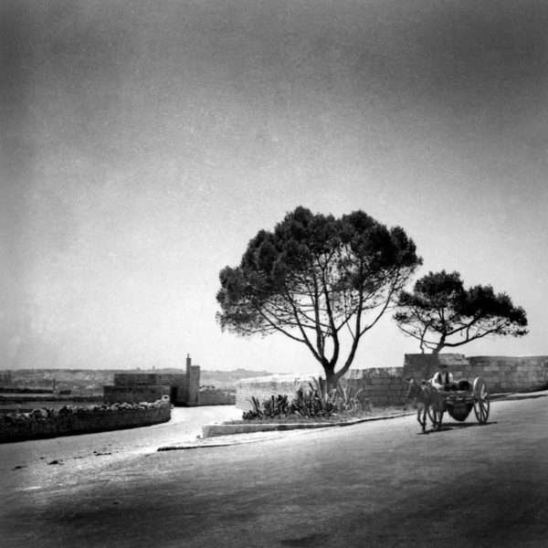 Country Scene with Horse & Carriage /25