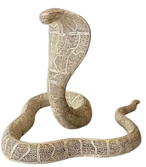 Silver Shine Snake