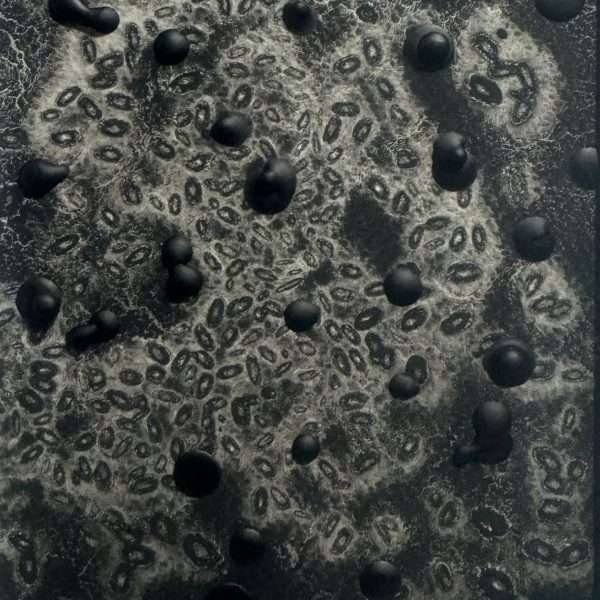 Life in Death by Jessica Demers. Image courtesy of the artist.