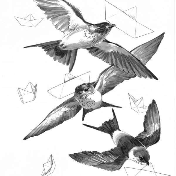 A pencil drawing of three red rumped swallow birds flying in the sky and paper airplanes also flying in the sky. It's all pencil drawings.