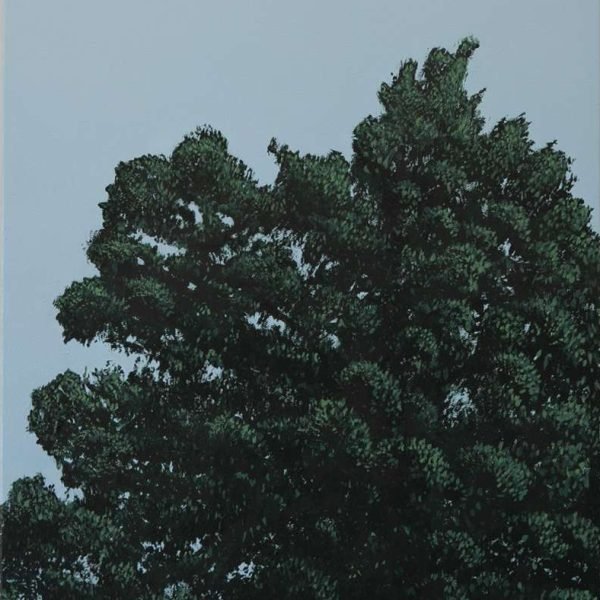 In Place of Leaves 1 by Trevor Borg. Image courtesy of the artist