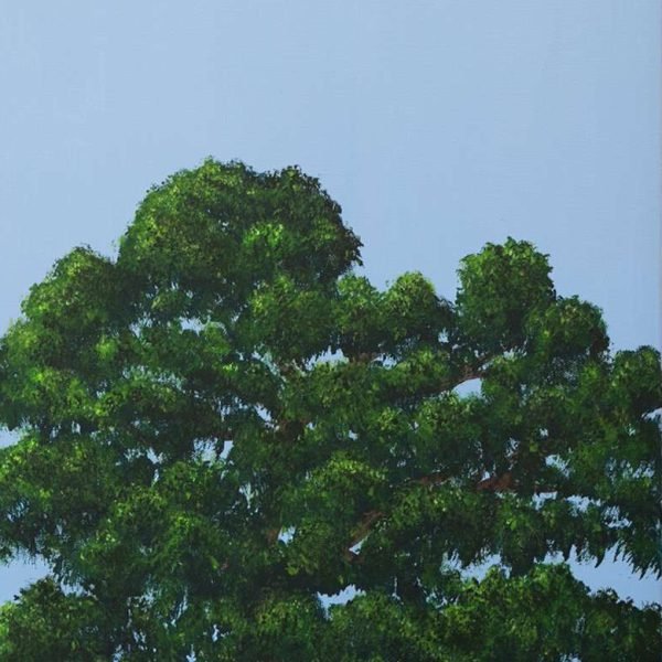 In Place of Leaves 2 by Trevor Borg. Image courtesy of the artist