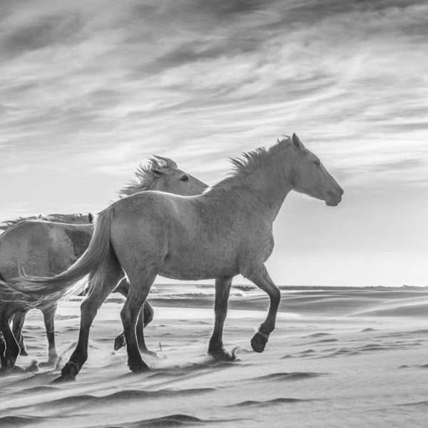 Side by Side As One by Johan Siggesson. Image courtesy of the artist