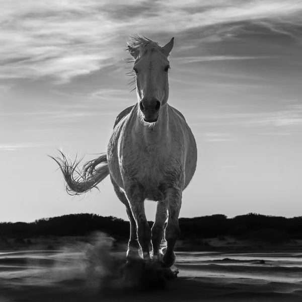Through the sand
