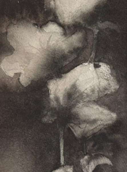Roses in black and white by Svetislav Martinovic