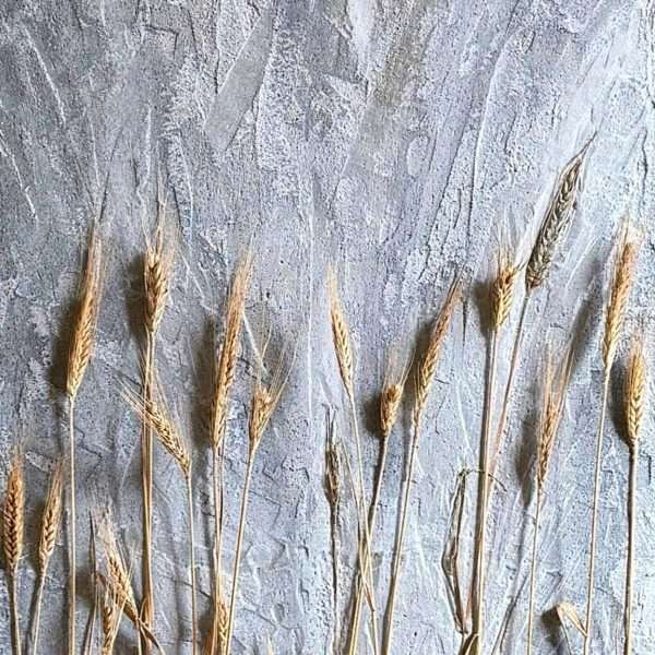 Untitled by Nathan Portelli. Image courtesy of the artist.