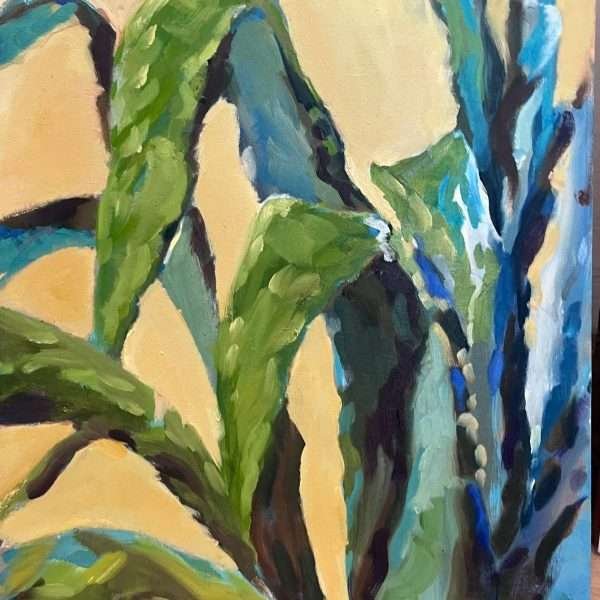Aloe