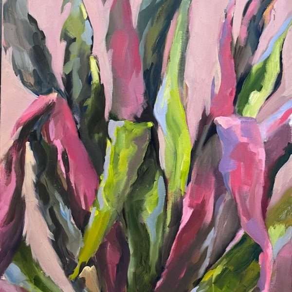Pink Aloe